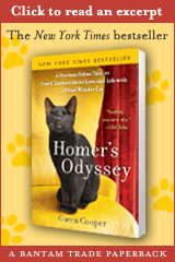 Homer's Odyssey
