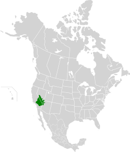 map of the Mojave Desert