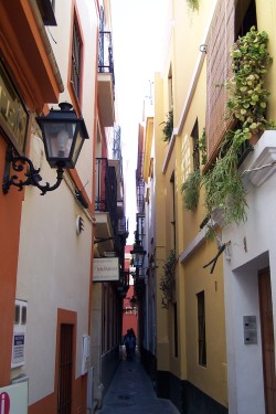 Seville has many narrow, winding streets