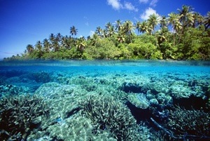 Micronesian Island