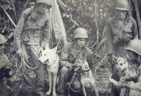 26th Infantry Dog Scout Platoon