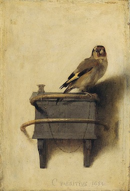 Carel Fabritius' The Goldfinch