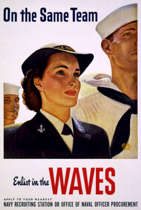 WAVES poster