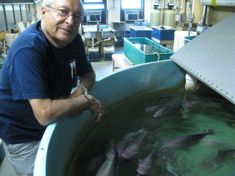 Brooklyn-based aquaculture