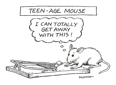 Teen Mouse by L.J. Kopf
