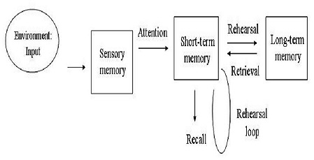 Multi store memory model