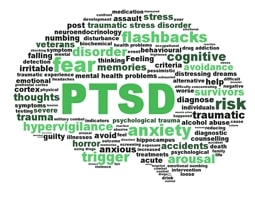 Words Associated with PTSD in Brain-Shaped Design
