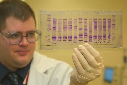 Chemist looking at DNA profile