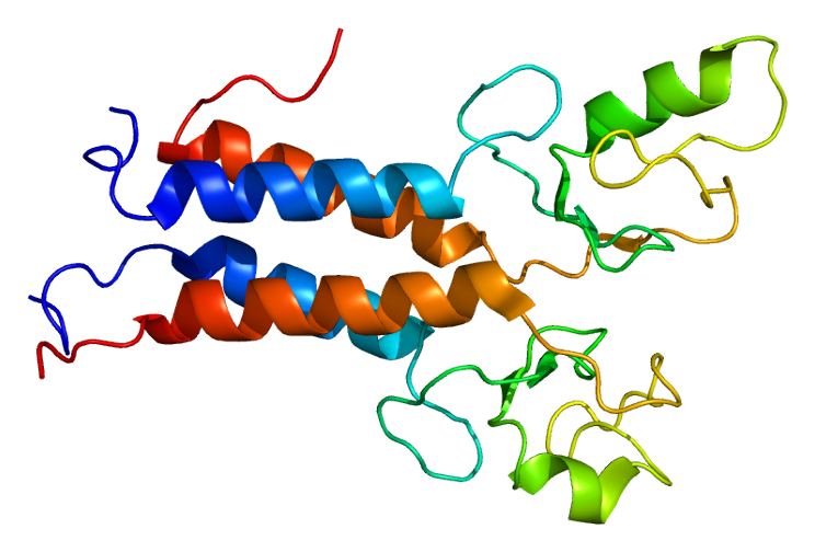 Multicolored visual of a section of a BRCA1 protein