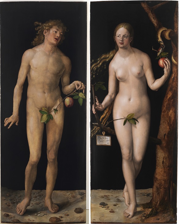 Side by side paintings of nude Adam and Eve holding apples by Albrecht Durer