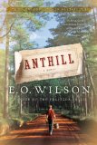 Anthill