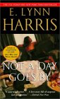 Not A Day Goes By by E Lynn Harris