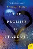 The Promise of Stardust jacket