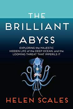 The Brilliant Abyss jacket