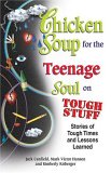 Chicken Soup for The Parent's Soul jacket