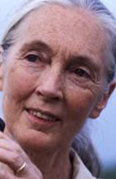 Jane Goodall