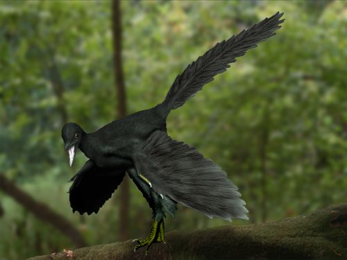 Archaeopteryx