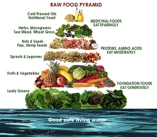 Raw Food Pyramid