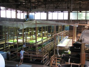Sweet Water Organics urban aquaculture warehouse site in Milwaukee