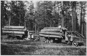 Logging in Washington state