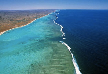 Ningaloo Reef