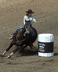 Barrel racing at rodeo