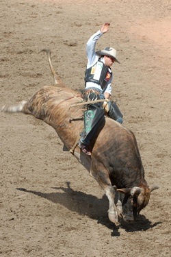 Bullriding at rodeo