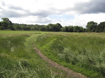 Hampstead Heath