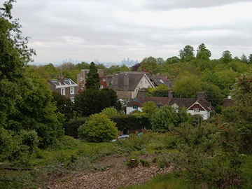 Hampstead Heath Vale