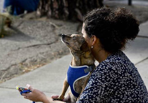 Emotional Support Animal