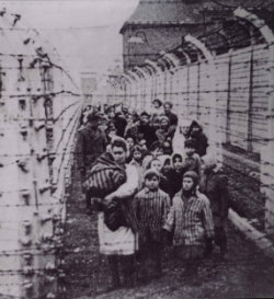Eva and Miriam Mozes are pictured in Auschwitz. They are in the front, holding hands
