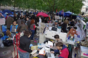 People's Library at Zuccotti Park