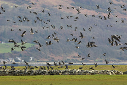 Local Nature Reserve