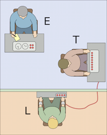 Graphic of the Experiment