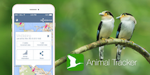 Animal Tracker App