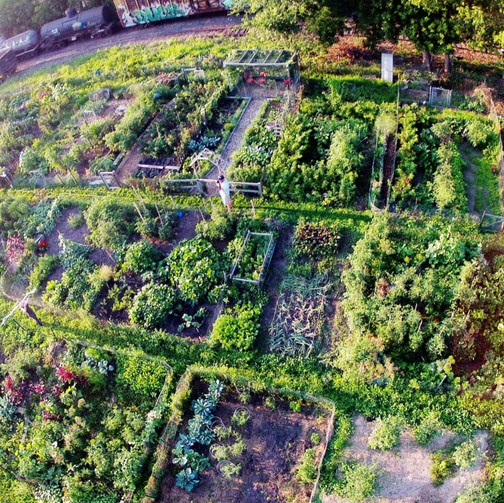 A Community Garden