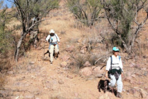 Tucson Samaritans out in the Sonoran desert