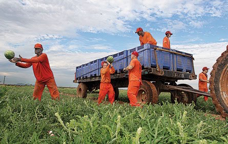 Farm Laborers