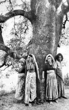 Chipko Movement