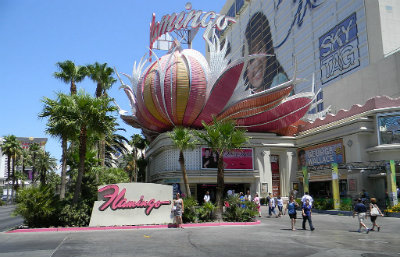 The Flamingo Hotel