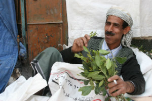 Yemeni man chewing qat