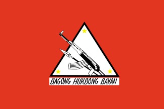 The current flag of the NPA