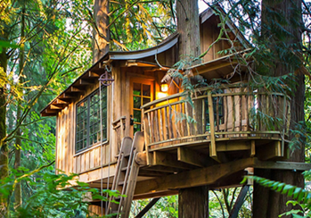 Treehouse Point