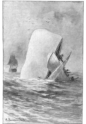 Illustration from Moby Dick