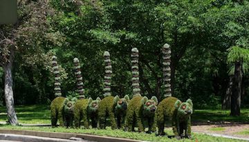 Montreal Botanical Gardens