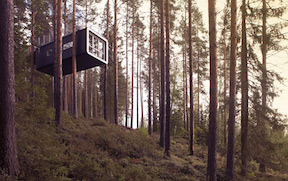 The Treehotel