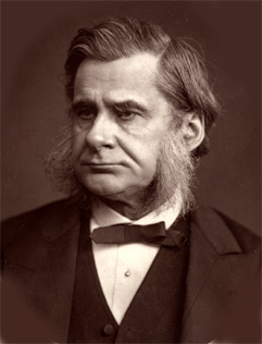 Biologist and anthropologist Thomas Huxley