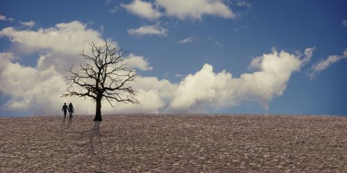 Desert Landscape with People and Tree