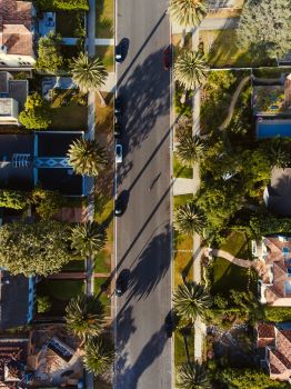 Neighborhood with Trees from Above