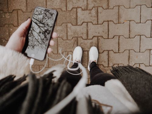 Person Holding Smartphone with Tree Reflected in Screen